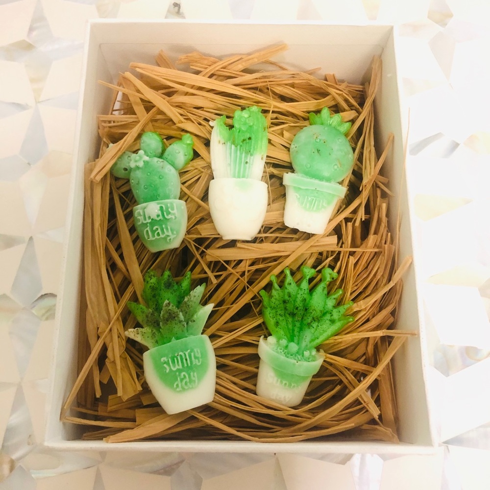 🌳 NWT Plant Soap Set - Picture 2 of 3